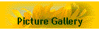 Picture Gallery